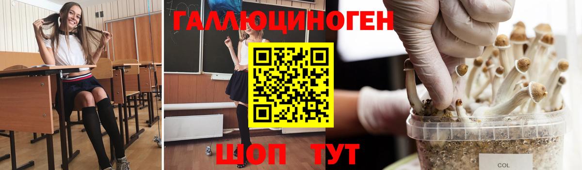 Гусь-Хрустальный  Псилоцибиновые грибы Psilocybine cubensis  Вход с VPN 